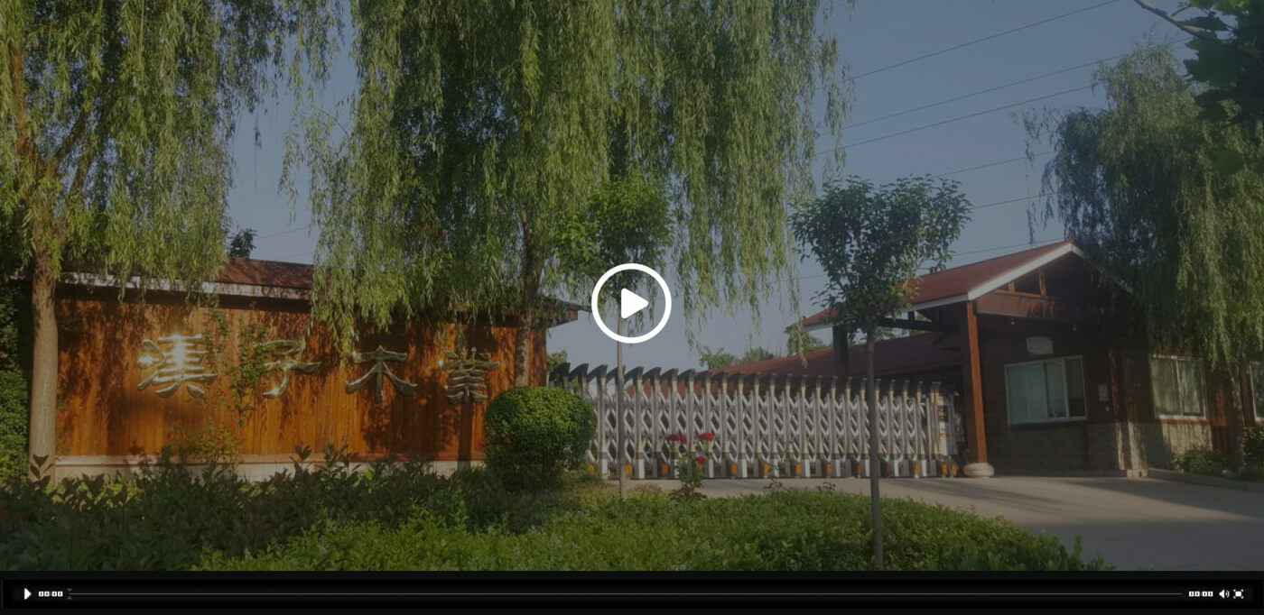 九游j9在线官网-九游j9(中国)